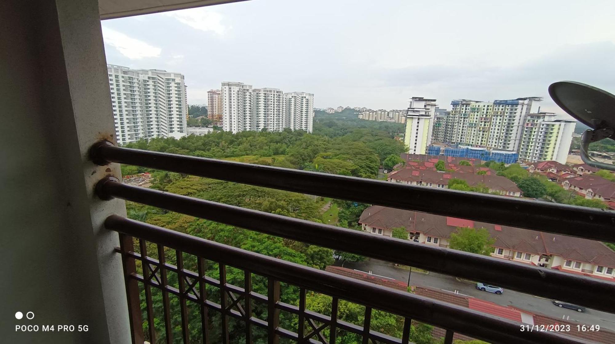 Saujana Aster @
